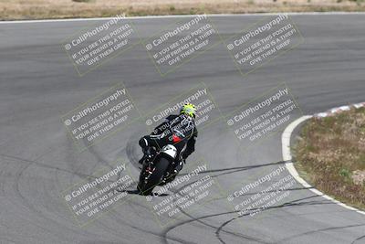 media/Apr-20-2025-AHRMA (Sun) [[393a79c373]]/Race/Group 8/Turn 4b/